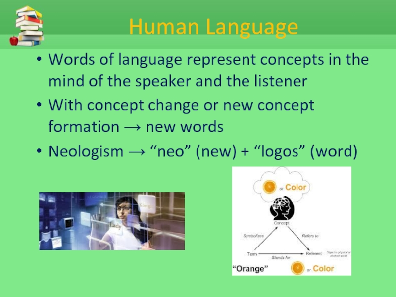 Human Language Words of language represent concepts in the mind of the