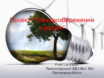 Електрозбереження в родині