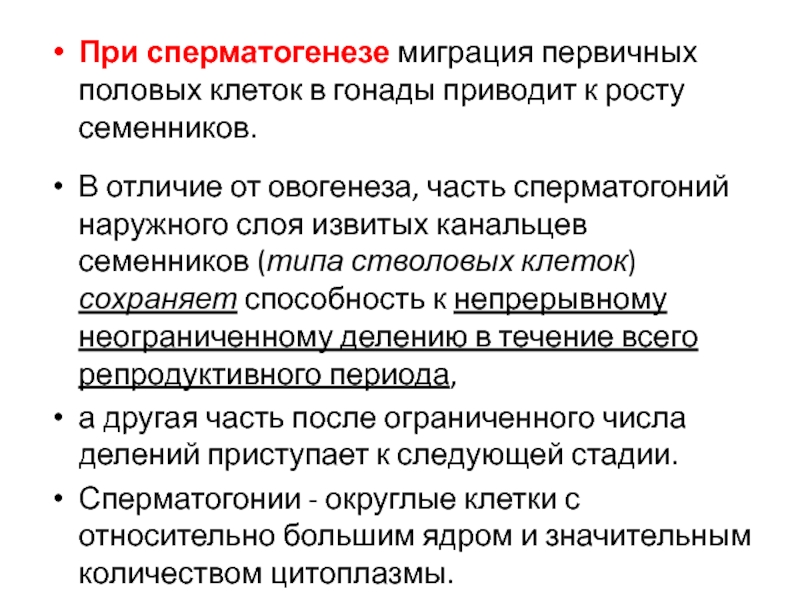 Первичный пол. Миграция первичных половых клеток. Прогенез этапы. Происхождение и миграция первичных половых клеток.