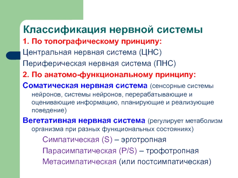 Центральный принцип. Нервная система классификация по местам. Классификация нервной системы по пунктам. Классификация нервных тиков. Элементарная единица ткани.