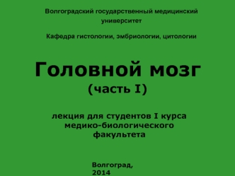 Головной мозг (часть I)