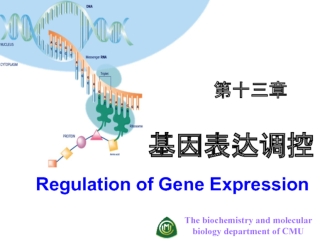 基因表达调控