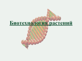 Биотехнология растений. Культуры растительных клеток и тканей in vitro