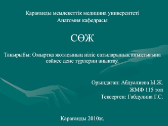 Омыртқа жотасының иіліс сатыларының анықтығына сәйкес дене түрлерин анықтау