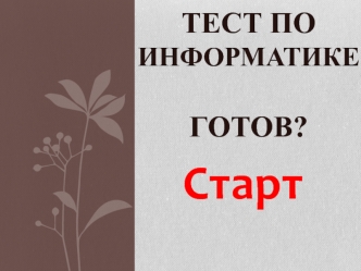 Тест по информатике