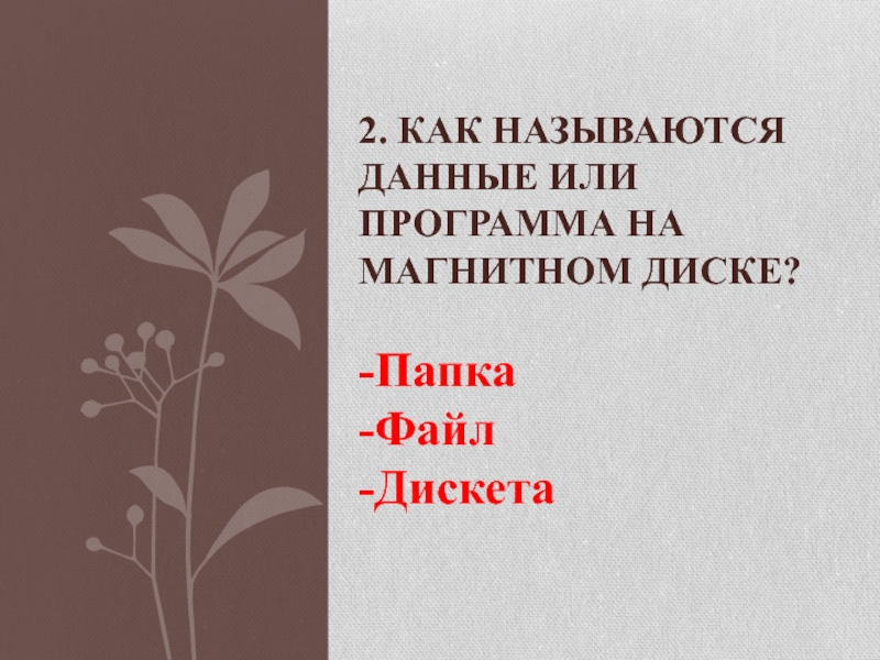 Как называются данные или программа на магнитном диске