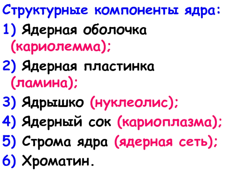 Главным структурным компонентом ядра является. Структурные элементы ядерной оболочки (кариолеммы).