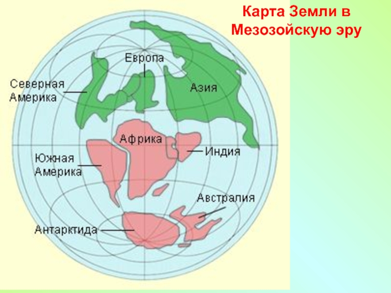 Карта мира 65 миллионов лет назад