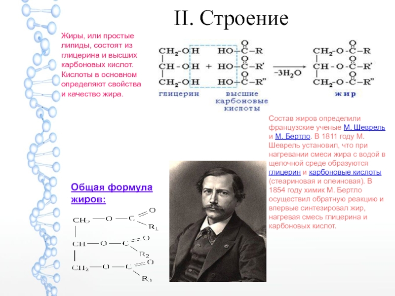 Строение жиров картинка