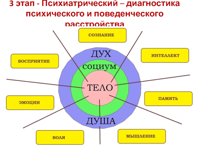 Тест на психические расстройства. Признаки психически здорового человека. Этапы диагностика нарушений психического. Портрет психологически здорового человека. Критерии психически здорового человека.