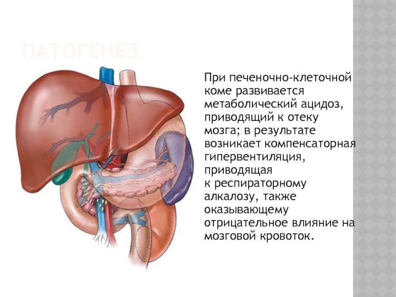 Печеночной комы