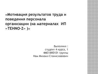 Мотивация результатов труда и поведения персонала организации (на материалах ИП TEHNO-Z )