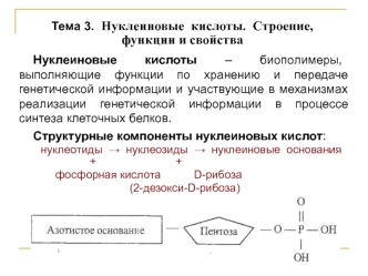 Нуклеиновые кислоты. Строение, функции и свойства. (Тема 3)