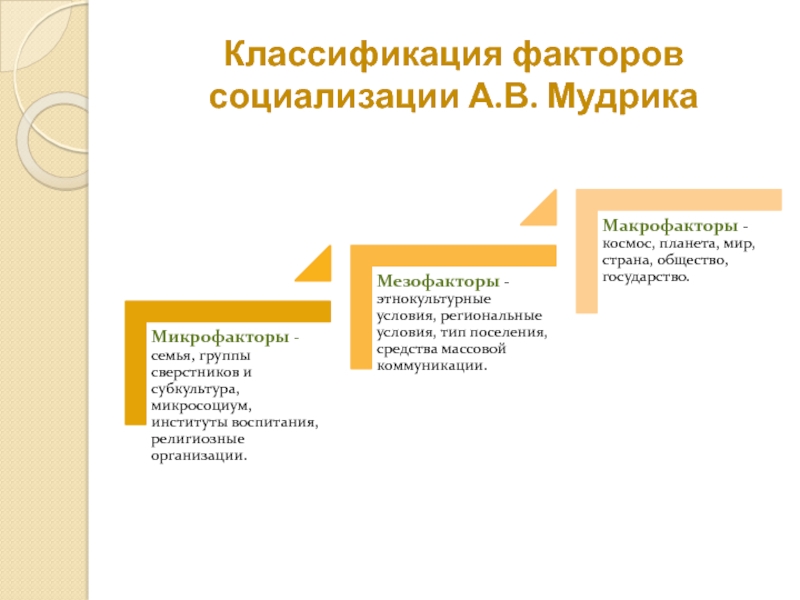 Заполните схему задачи социализации по а в мудрик