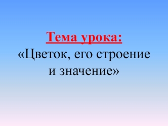 Цветок, его строение и значение