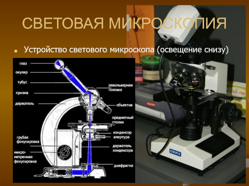 Освещение микроскопа