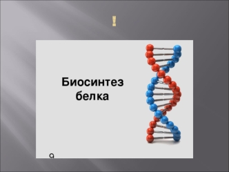 Биосинтез белка