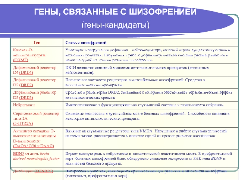 Генетика шизофрении презентация