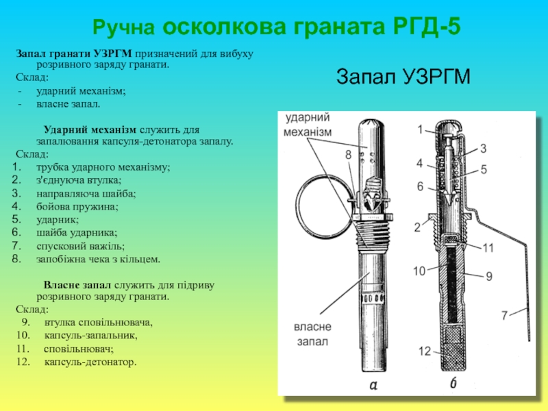 Реферат: Ручні осколкові гранати ПРИЗНАЧЕННЯ І БОЙОВІ ВЛАСТИВОСТІ ГРАНАТ Ручні осколкові гранати призначені