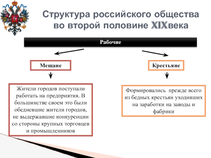 Благородные и подлые социальная структура российского общества второй половины 18 века схема