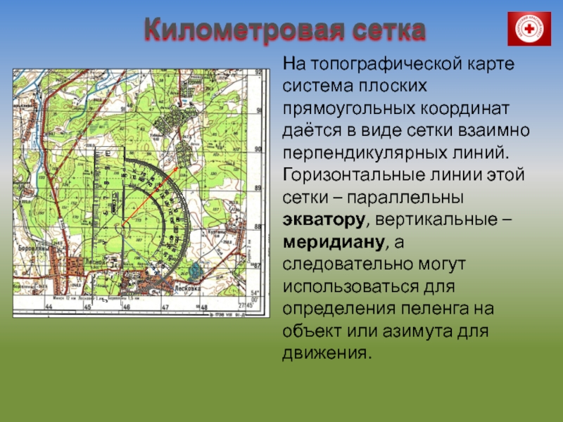 Топографическая карта с сеткой координат