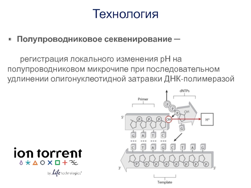 Экзомного секвенирования. Полупроводниковое секвенирование. Оборудование для секвенирования ДНК. Ошибки секвенирования. Область применения секвенирования.