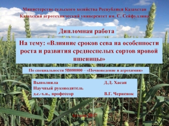 Влияние сроков сева на выращивание пшеницы