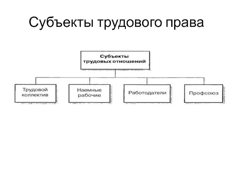 Субъекты трудового права презентация