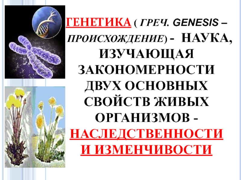 Генетика наука о закономерностях наследственности. Генетика наука о наследственности и изменчивости организмов. Наука о происхождении человека.