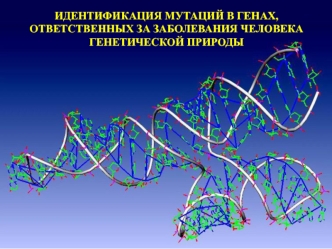 Идентификация мутаций в генах, ответственных за заболевания человека генетической природы. Цитогенетический анализ