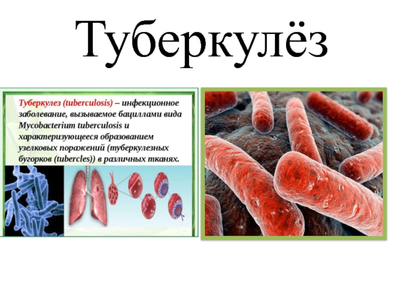 Детские болезни презентация