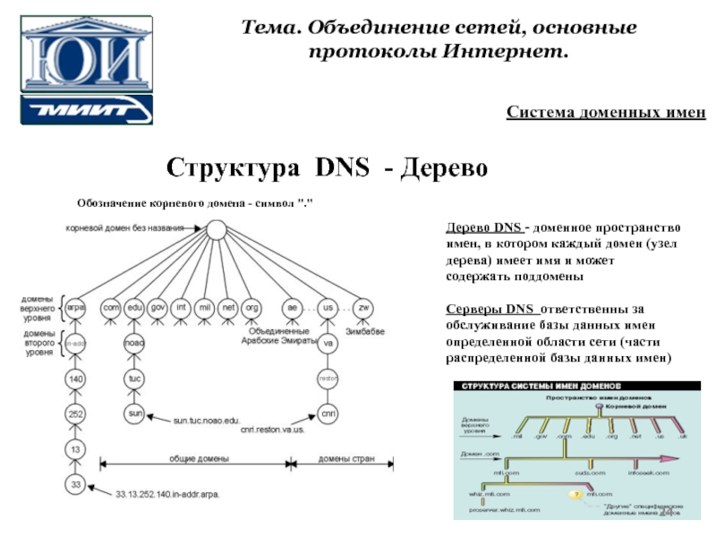 Сеть основной. Объединение сетей. Структура DNS. DNS протокол структура. Объединенная сеть примеры.