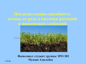 Поглотительная способность почвы, ее роль в питании растений и применении удобрений