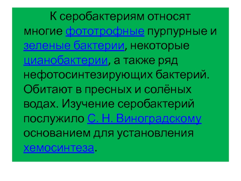 Где чаще обитают бактерии хемосинтетики