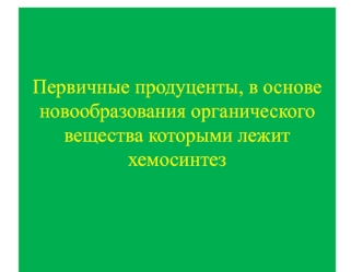 Первичные продуценты, в основе новообразования органического вещества которых лежит хемосинтез