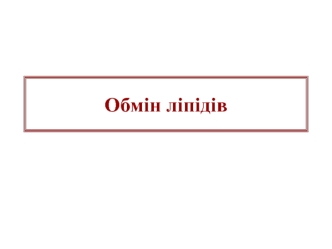 Обмін ліпідів