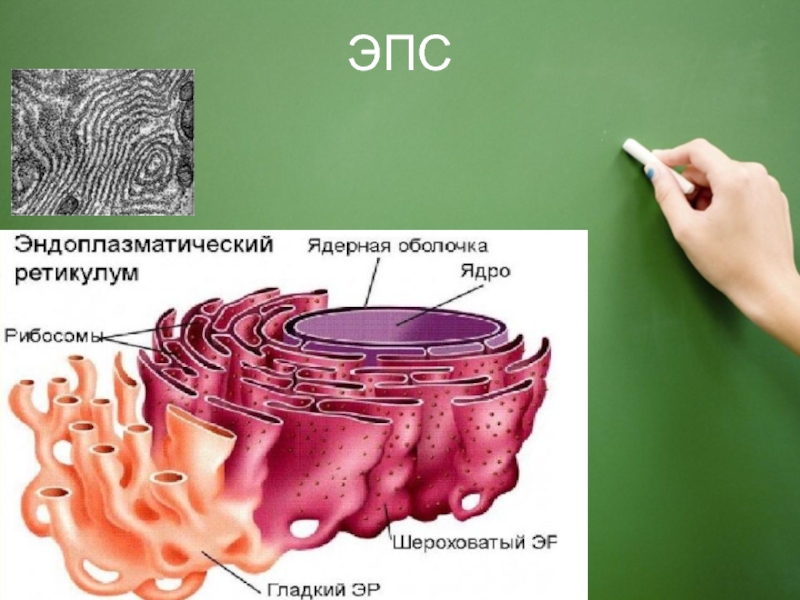 Шероховатая эпс рисунок