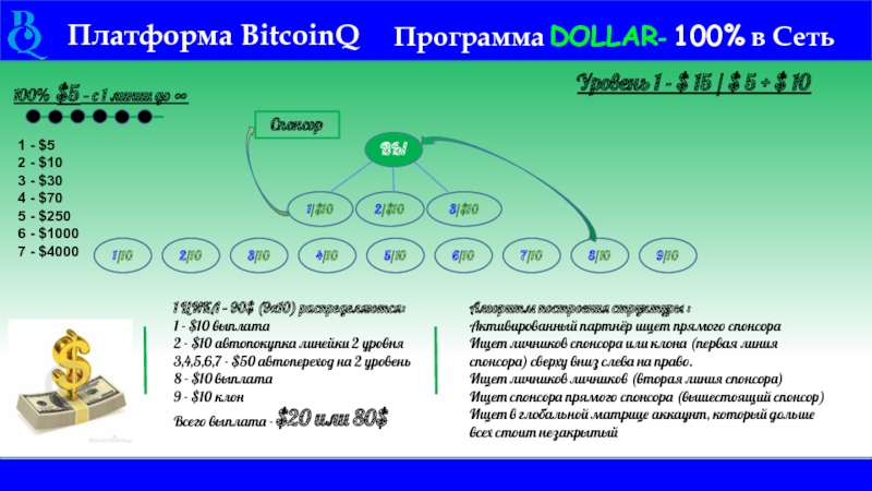 Платформа BitcoinQ Программа DOLLAR- 100% в Сеть  Уровень