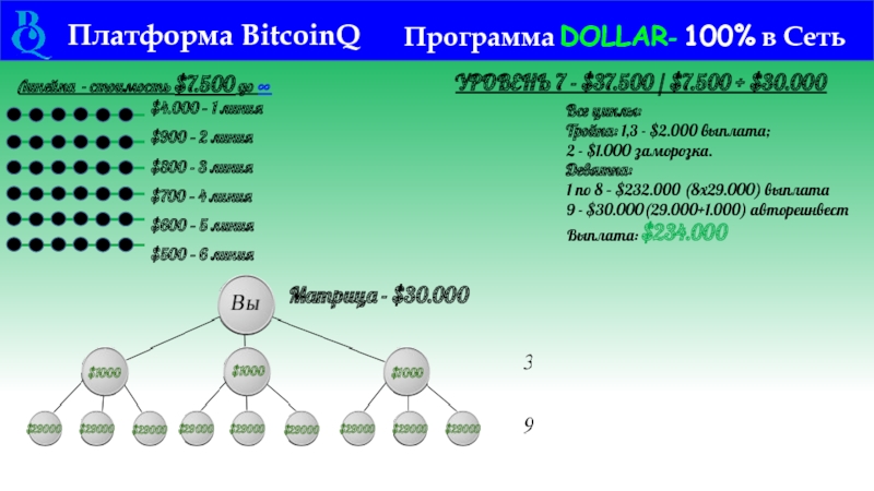 Платформа BitcoinQ Программа DOLLAR- 100% в Сеть   Линейка -