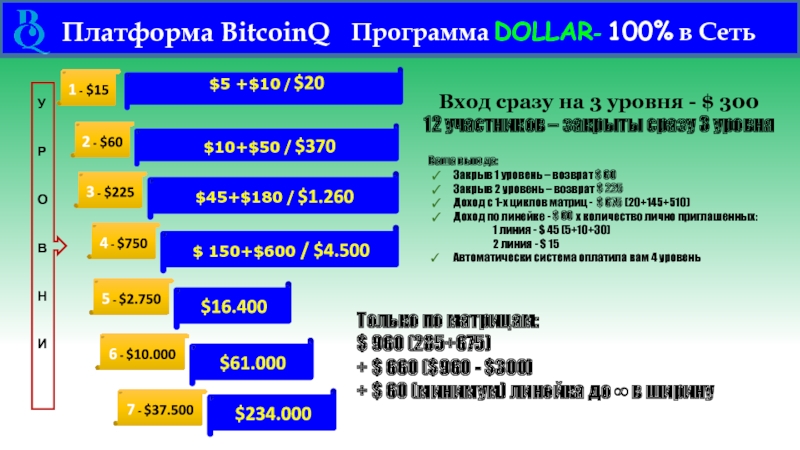 Платформа BitcoinQ Программа DOLLAR- 100% в Сеть 1 - $15