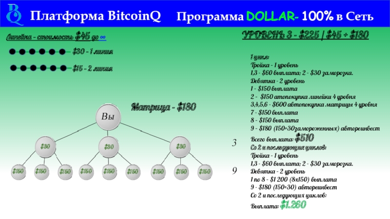 Платформа BitcoinQ Программа DOLLAR- 100% в Сеть   Линейка –