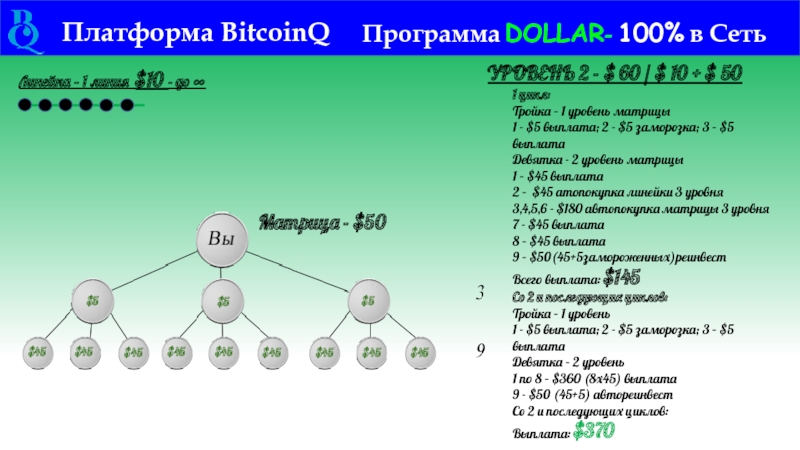 Платформа BitcoinQ Программа DOLLAR- 100% в Сеть Линейка – 1 линия