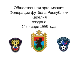 Общественная организация Федерация футбола Республики Карелия