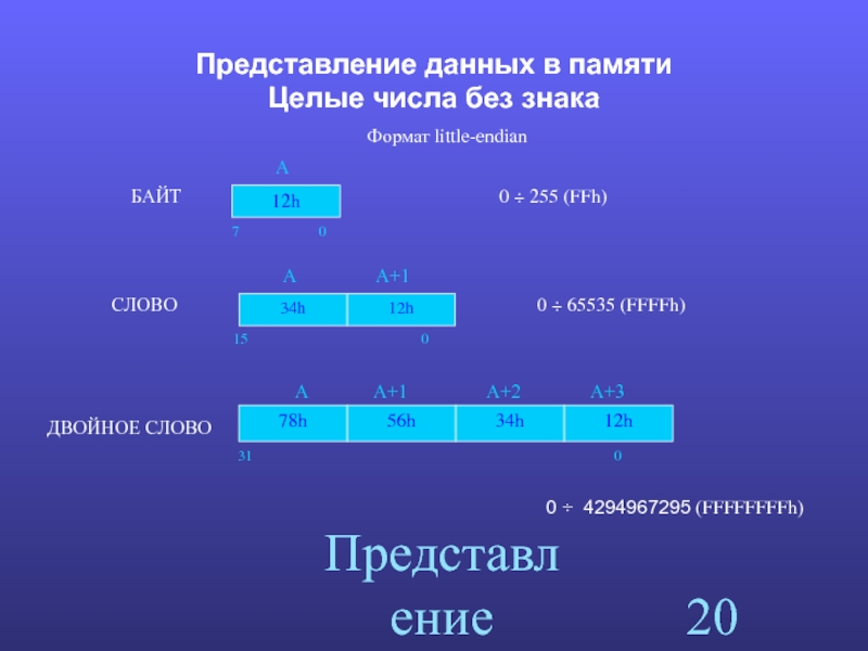 В виде целого числа. Целые числа без знака. Двоичные числа без знака. Представления целого числа без знака. Представление числа без знака одним байтом.