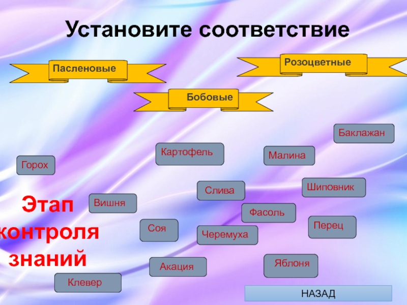 Презентация по биологии речь