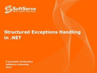 Exception Handling in .NET Framework
