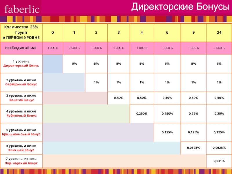 Уровень 0 2 0 4. Директорский бонус. 50 Бонусов объем. Бонус сколько лет.