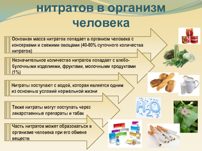 Влияние нитратов и нитритов на организм человека