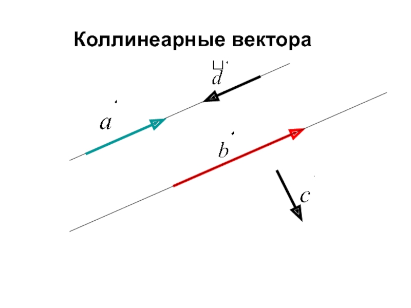 Коллинеарные векторы картинки