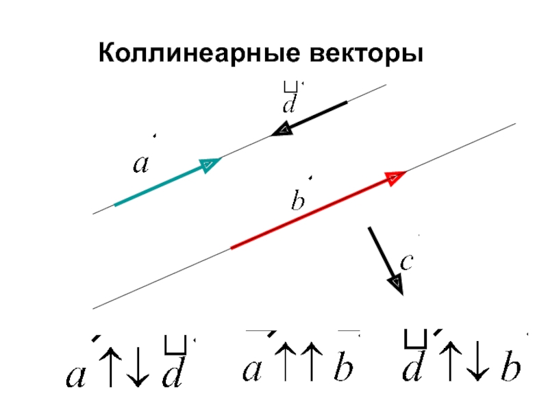 Какой вектор коллинеарен любому вектору